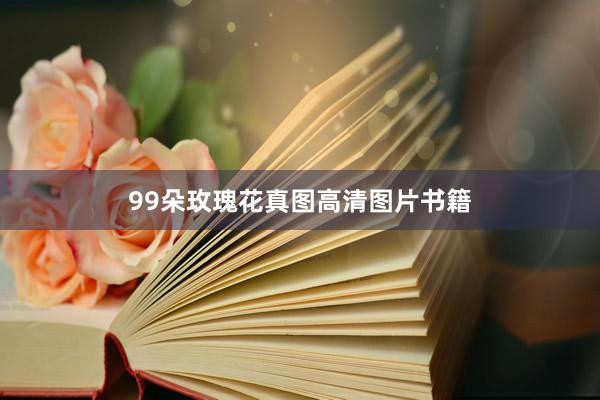 99朵玫瑰花真图高清图片书籍
